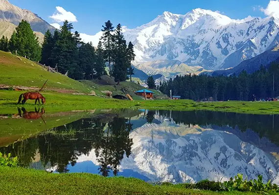 Fairy Meadows Tour Package | Chilas Tour | Nanga Parbat Tour